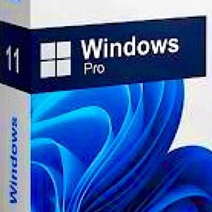 Microsoft Windows 11 Pro License Key & Certified Image Installer